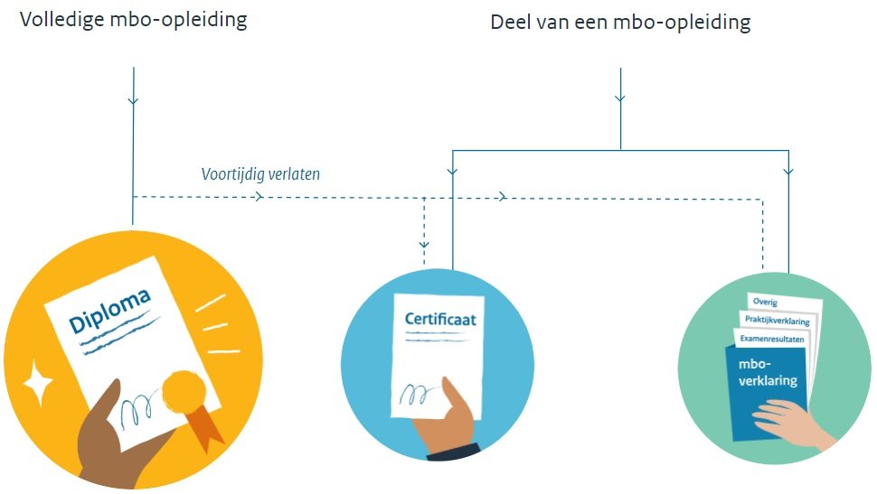 infographic van 3 mbo bewijsstukken: mbo-diploma, mbo-certificaat en mbo-verklaring