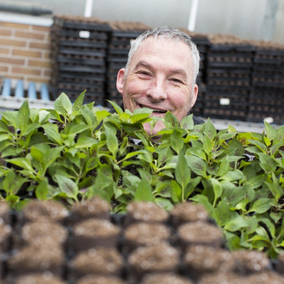 Databank met foto's
