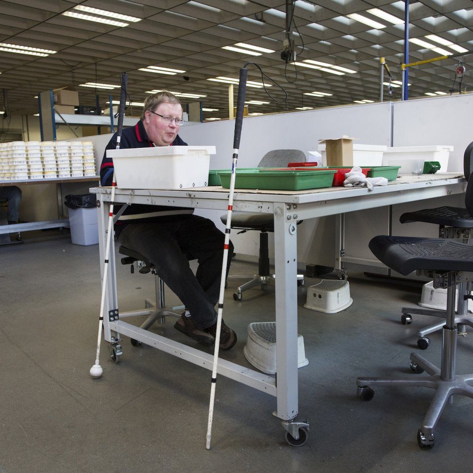 Databank met foto's