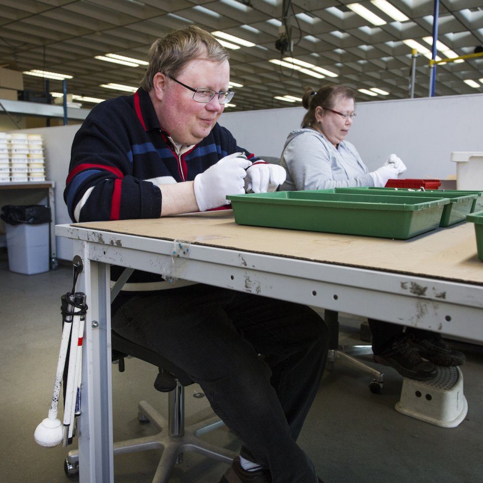 Databank met foto's