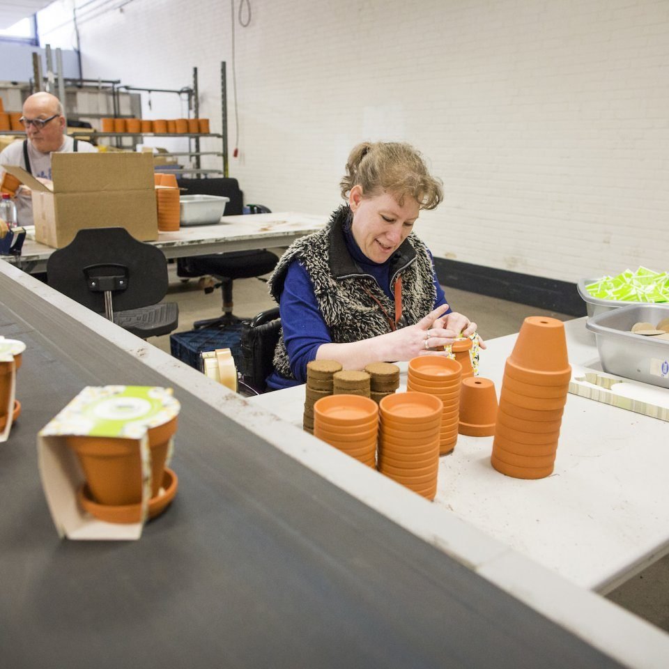 Databank met foto's