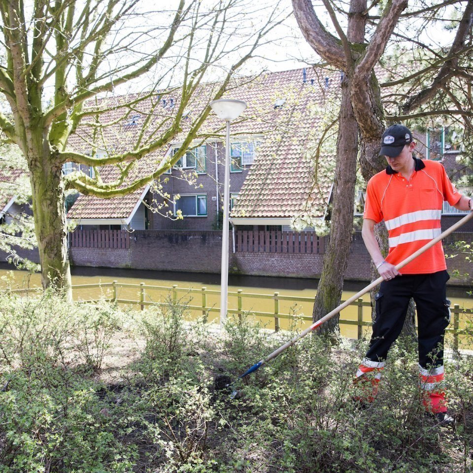 Databank met foto's