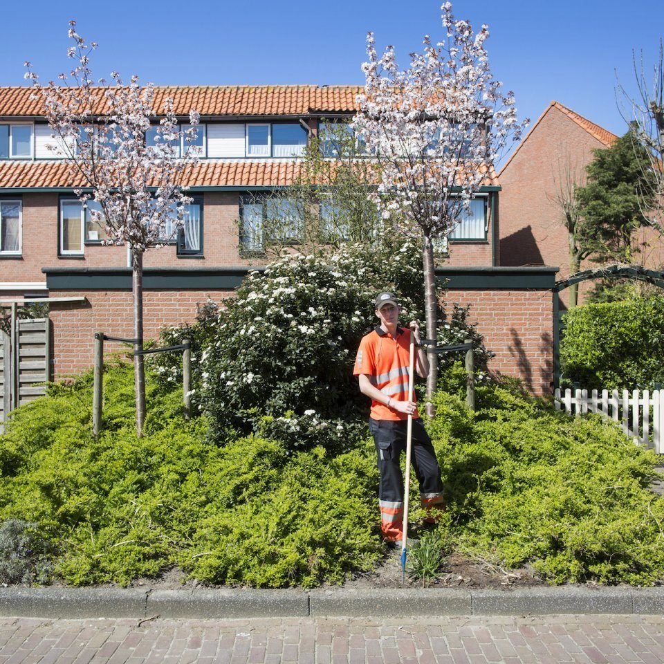 Databank met foto's
