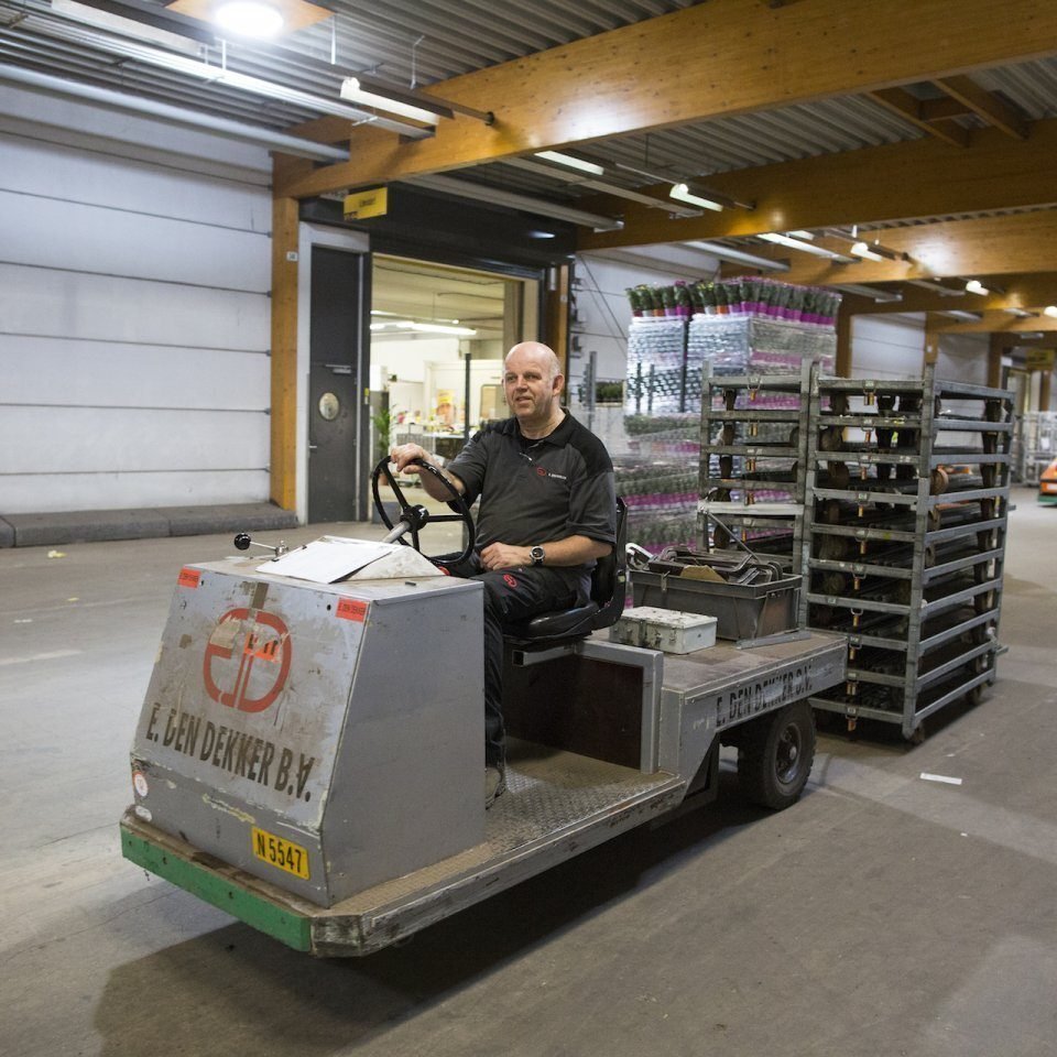 Databank met foto's