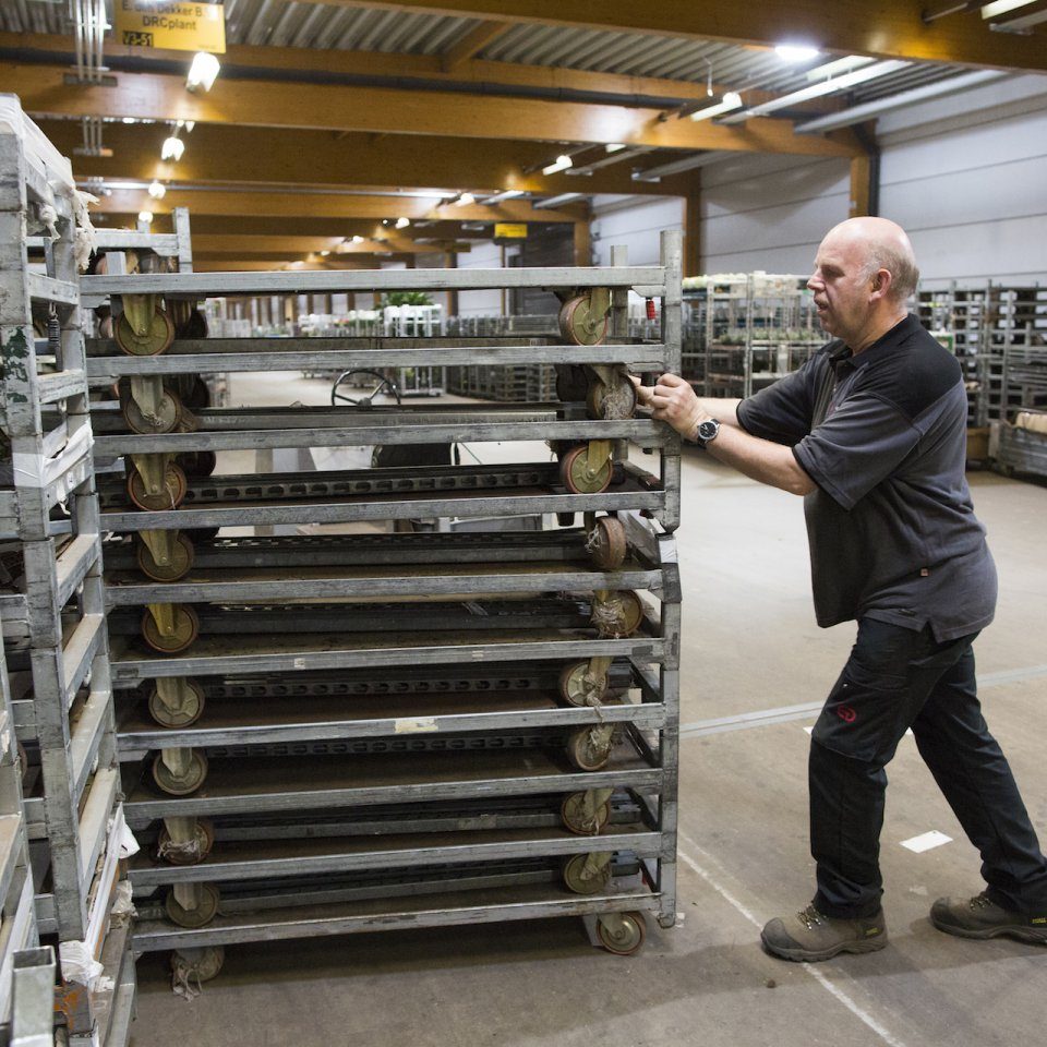 Databank met foto's
