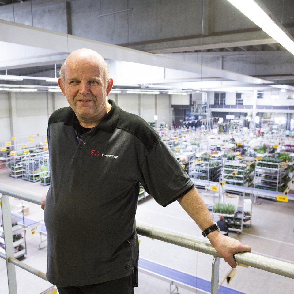 Databank met foto's