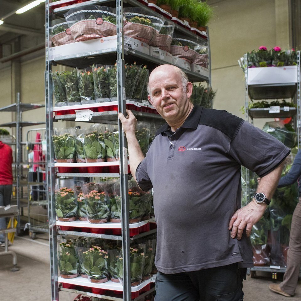 Databank met foto's
